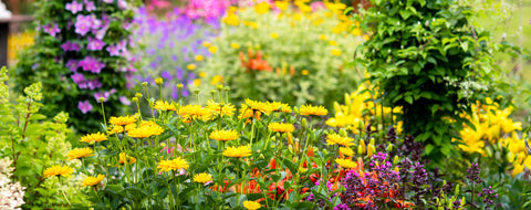 Landscape Design Spotlight March 7th 1pm - 5pm - Sign Up Now