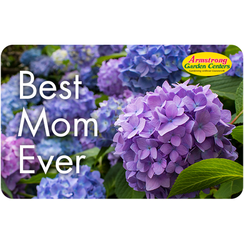 Digital Best Mom Ever eGift Card
