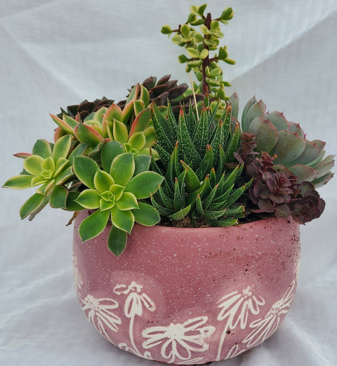 Rose Sandblasted Flower Pot With Succulents  - 6 inch