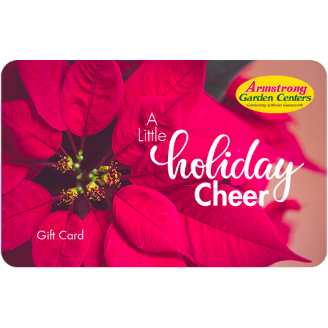 Digital A Little Holiday Cheer eGift Card
