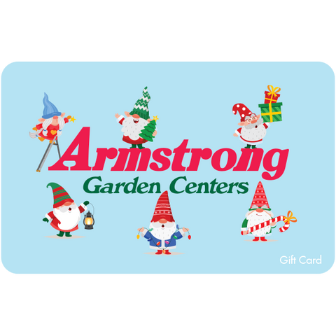 Digital Gnome Christmas Magic eGift Card