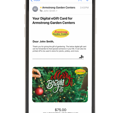 Digital Merry & Bright eGift Card