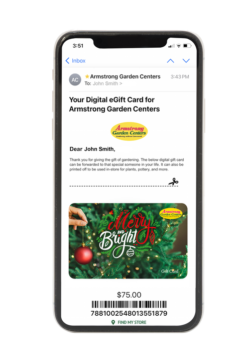 Digital Merry & Bright eGift Card