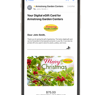 Digital Holiday Holly eGift Card