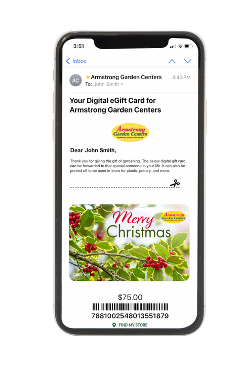 Digital Holiday Holly eGift Card