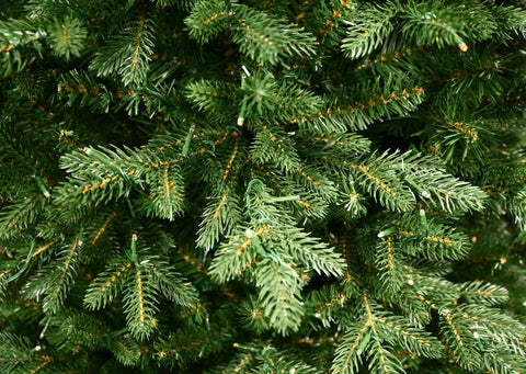 Fraser Supreme Fir Artificial Christmas Tree – 6.5’ Pre-Lit with Color-Changing Starry Lights