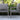 Eucalyptus Grey Wash & Rope Single Lounger