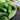 Cucumber A & C Pickling