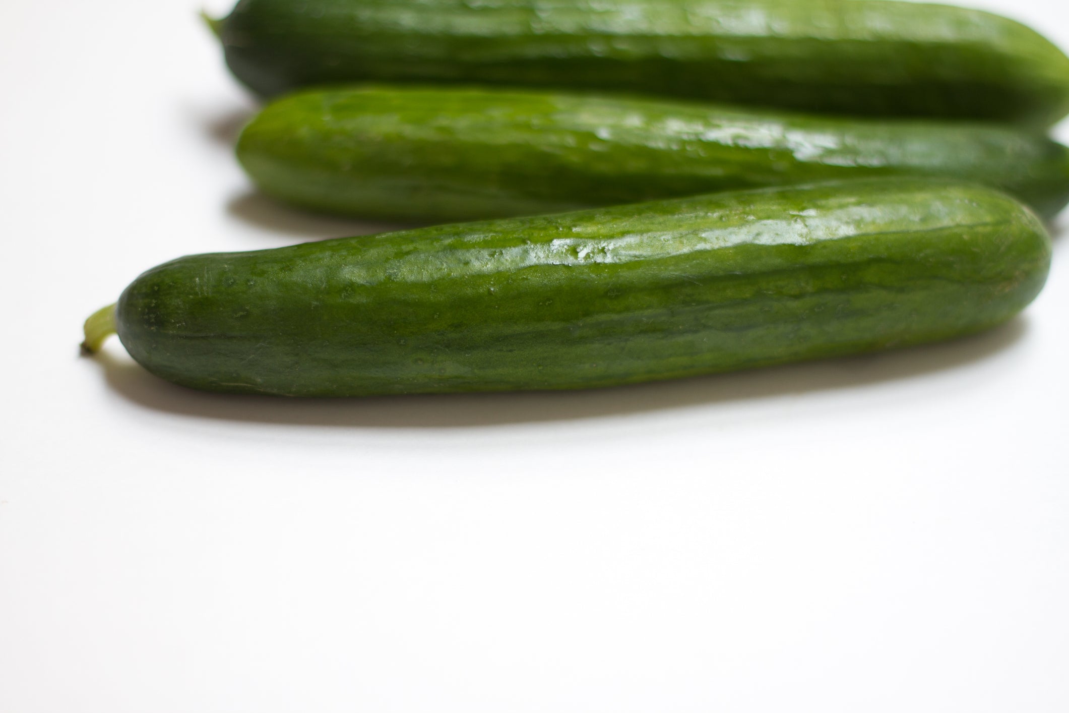 Cucumber Rocky (Persian)