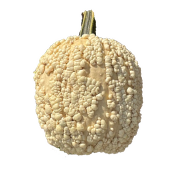 Ghost Bump Pumpkin