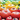 Digital Garden of Plenty eGift Card