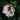 Helene Rose of Sharon