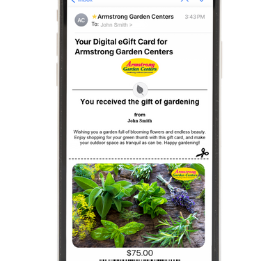 Digital Blissful Herbs eGift Card
