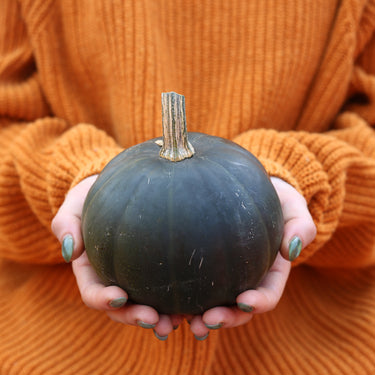 Lil Twilight Pumpkins