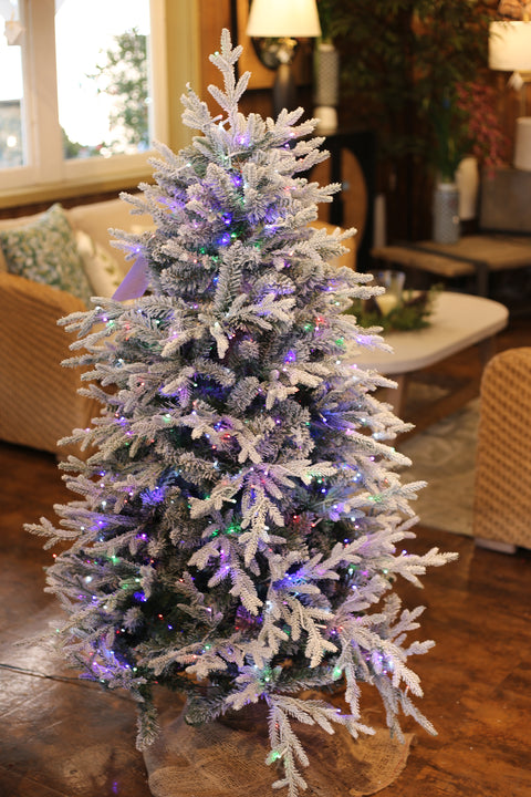 Nordic Flocked Fir Artificial Christmas Tree – 5’ or 7.5’ Pre-Lit with Color-Changing Starry Lights