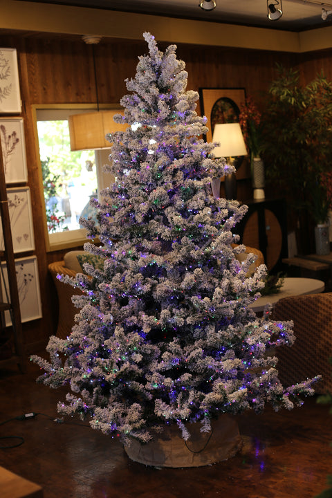 Nordic Flocked Fir Artificial Christmas Tree – 5’ or 7.5’ Pre-Lit with Color-Changing Starry Lights