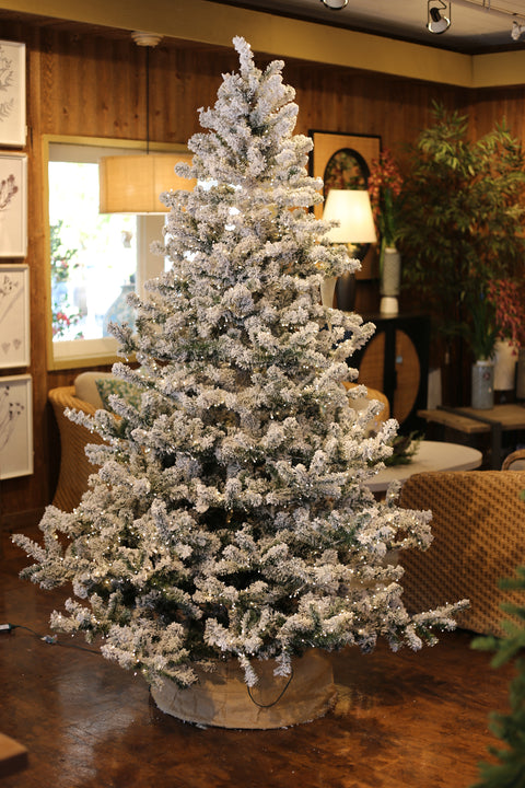 Nordic Flocked Fir Artificial Christmas Tree – 5’ or 7.5’ Pre-Lit with Color-Changing Starry Lights