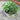 Rustic Italian Bowl with Mixed Herbs