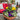 Annual Color Bowl Sun - 14 inch