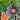 Potted Piranha Plant with Eye
