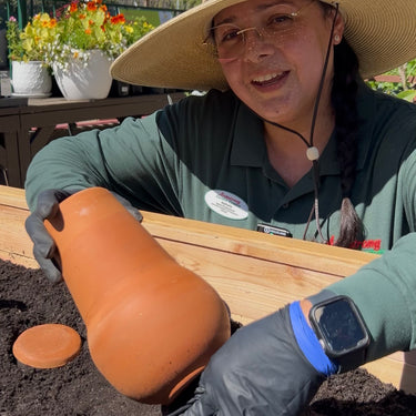 Olla Watering System for Pots - 1 quart