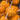 Orange Round Warty Minion Pumpkin