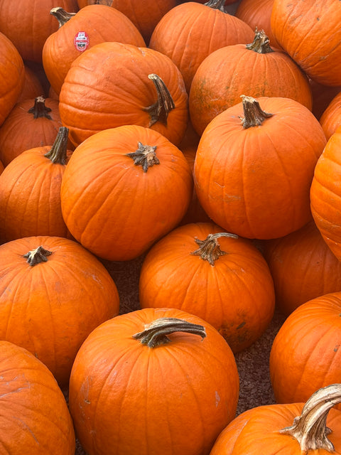 Orange Carving Jackpot Pumpkin