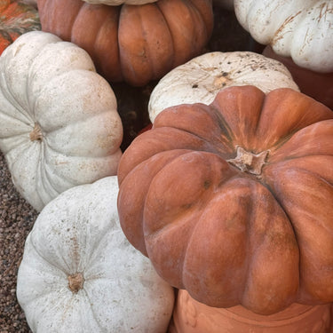 Fall Porch Package - The Grand