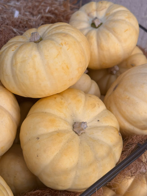 Mini Fairytale Pumpkin