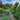 Landscape Design Spotlight May 30th 1pm - 5pm - Sign Up Now