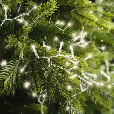 Lumineo Compact Twinkle Light (36 ft)