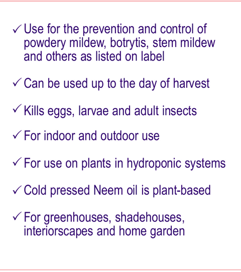 Bonide® Captain Jack's Rose Rx® 4 in 1 - Ready to Use