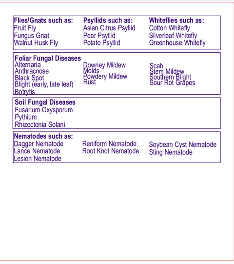 Bonide® Captain Jack's Rose Rx® 4 in 1 - Ready to Use