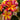 Plumeria 'Gloria Schmidt'