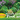 Lawn & Garden ProCare