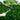Lawn & Garden ProCare