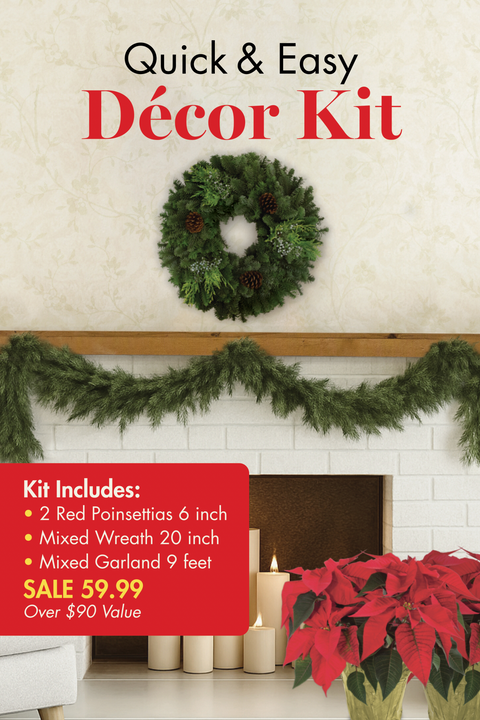 Quick & Easy Décor Kit