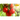 Digital Harvest Happiness eGift Card