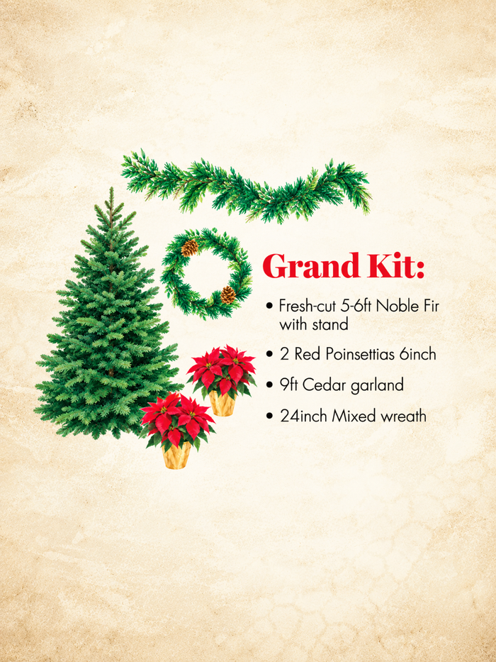 Quick & Easy Christmas Décor Kit - Classic