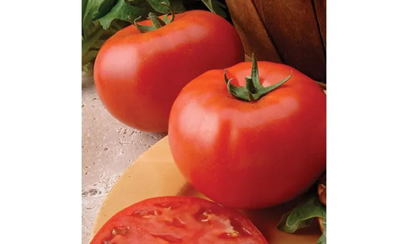 Big Beef Tomato