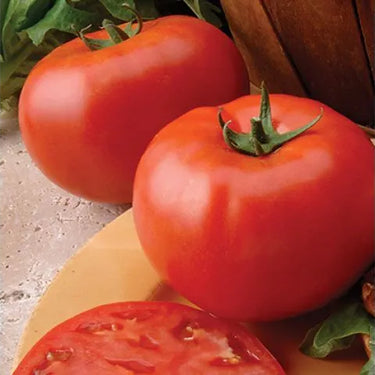 Big Beef Tomato