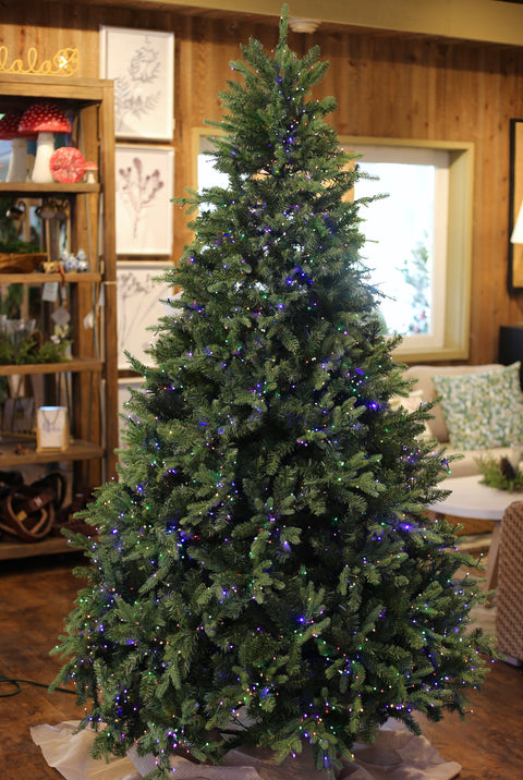 Alberta Spruce Deluxe Artificial Christmas Tree – 6.5’ or 7.5’ Pre-Lit with 18-Function LED Lights