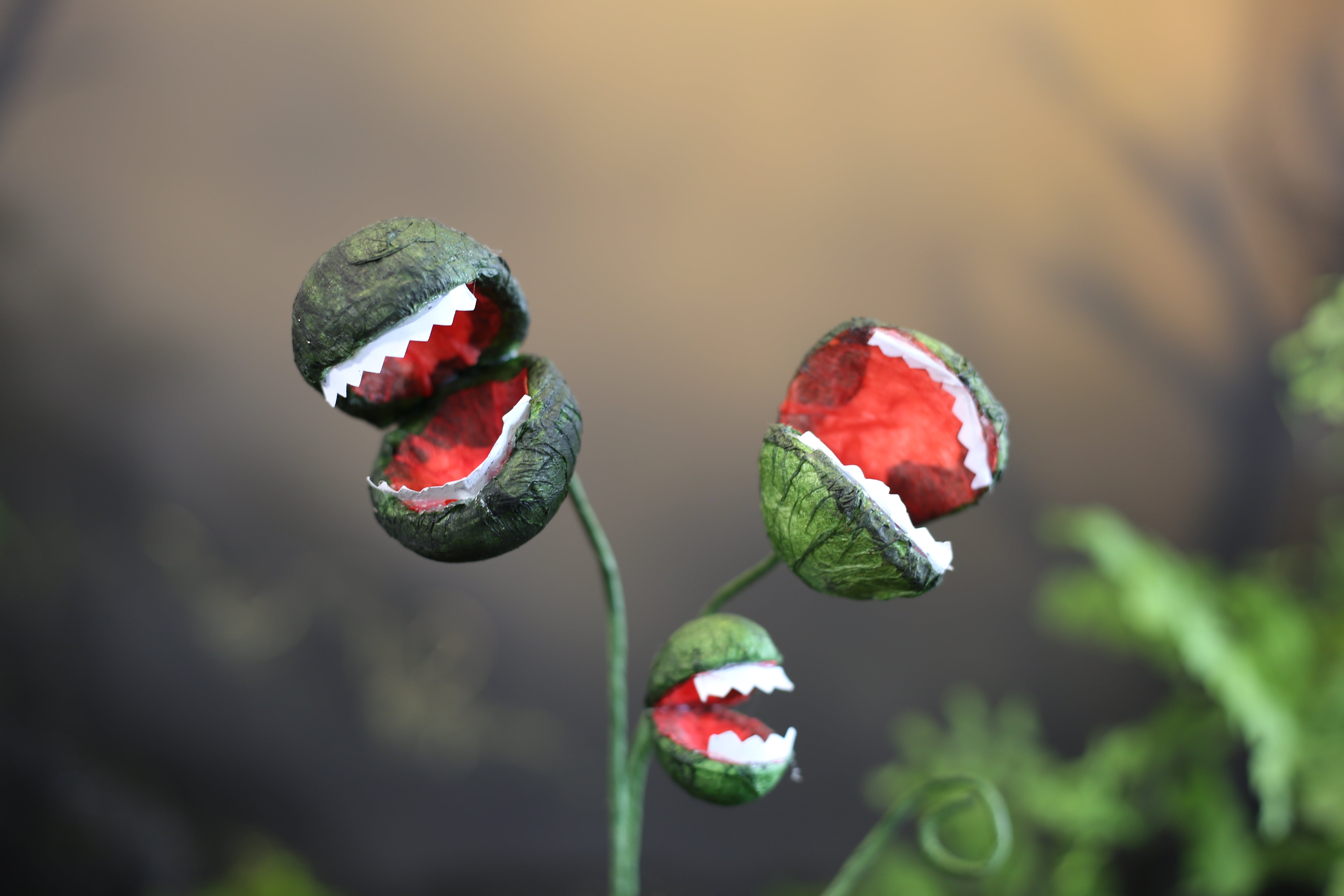 Armstrong Garden Centers Piranha Plant