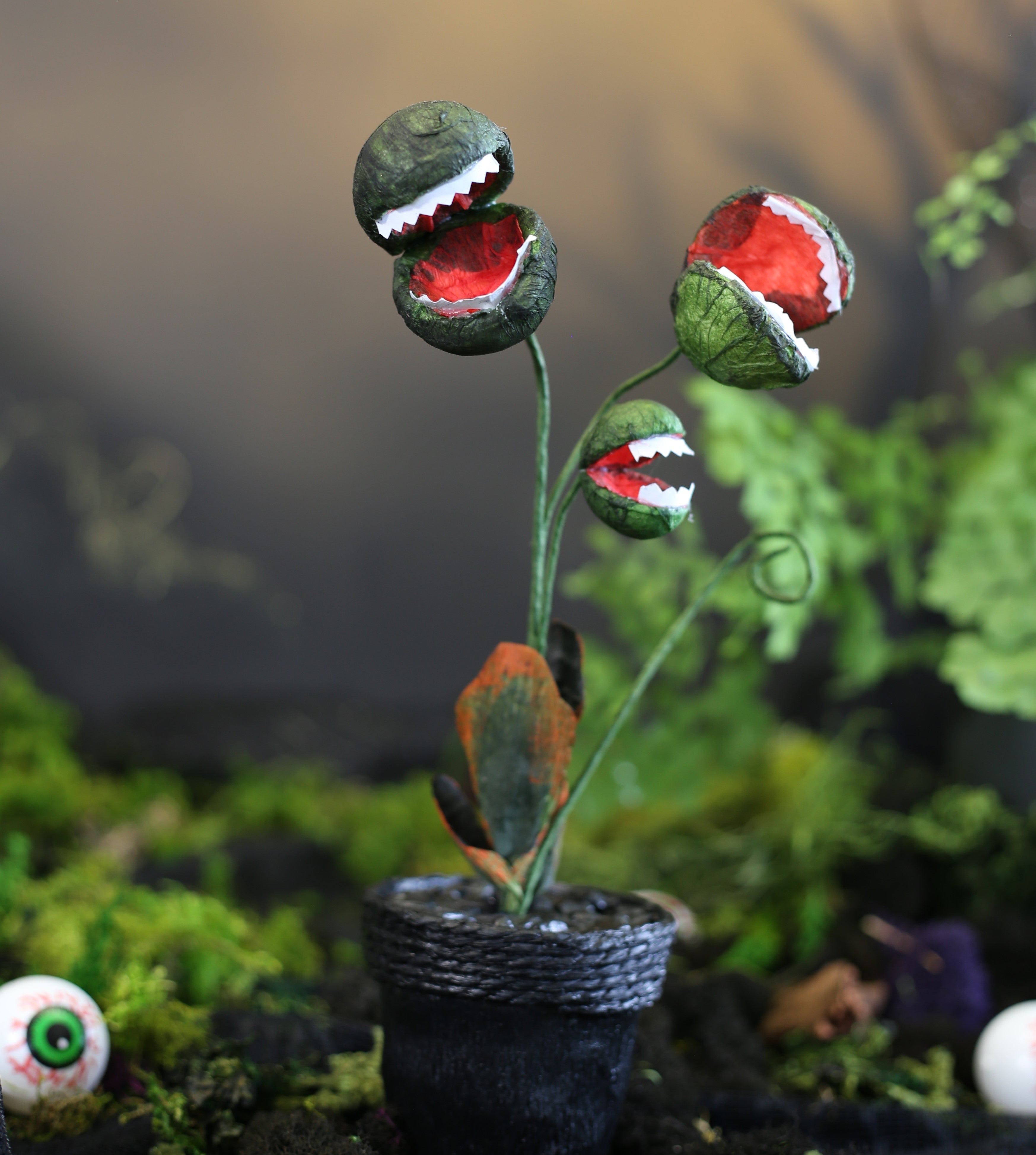 Potted Paper Piranha Plant – Armstrong Garden Centers