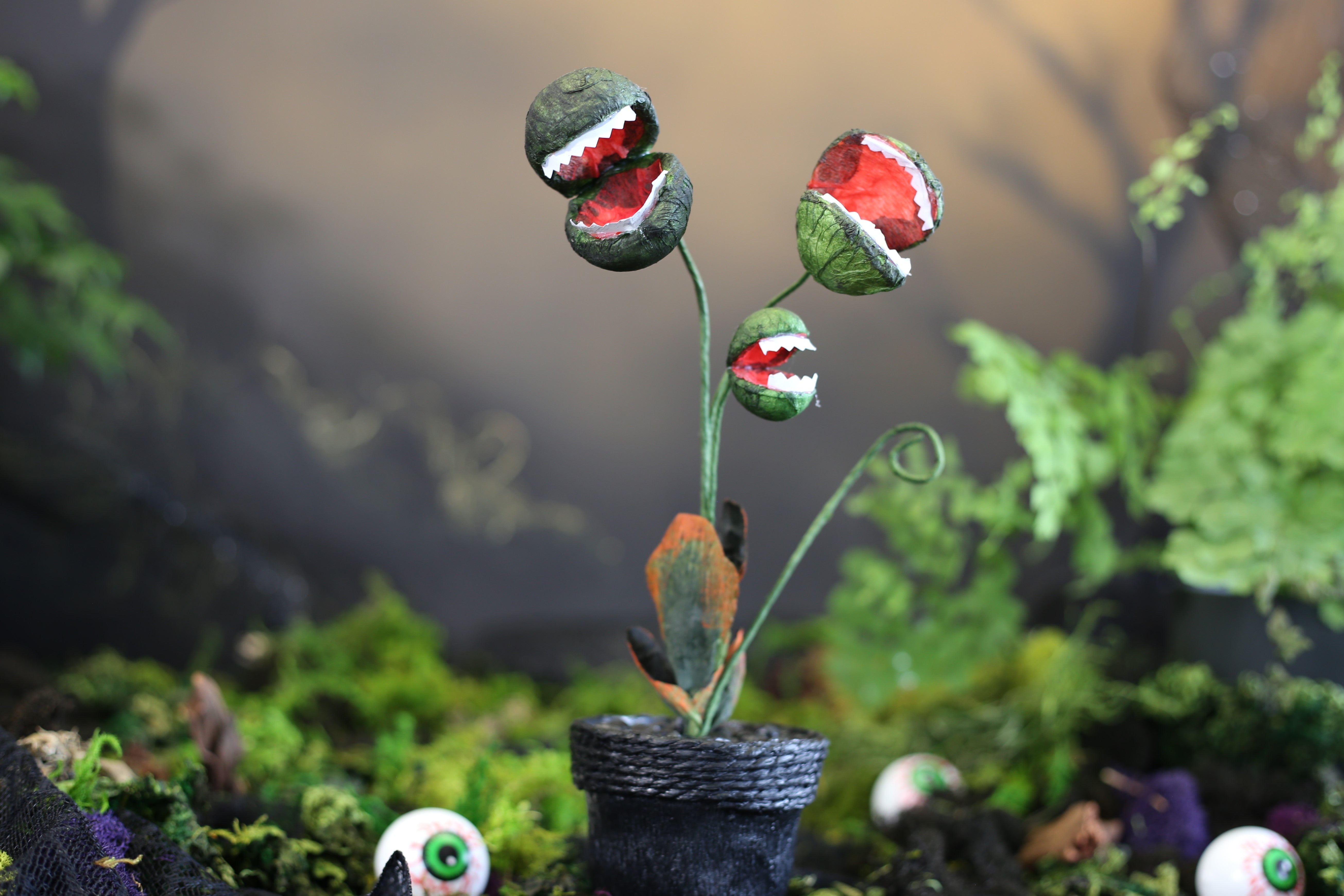 Armstrong Garden Centers Piranha Plant - Thumbnail 3