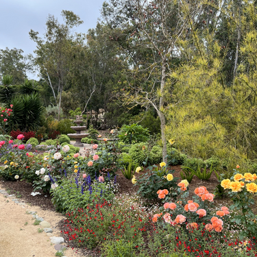 Landscape Design Home Visit