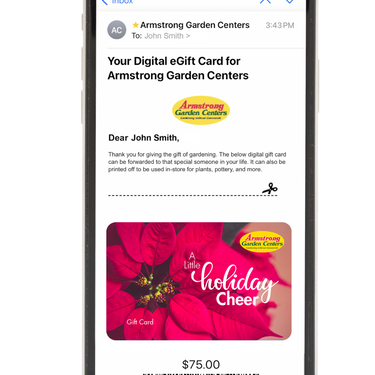 Digital A Little Holiday Cheer eGift Card