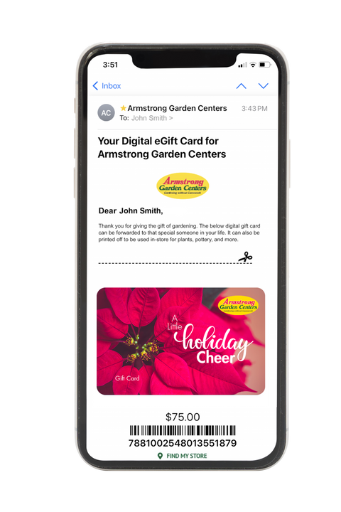 Digital A Little Holiday Cheer eGift Card