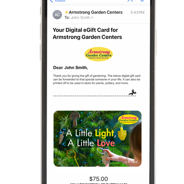 Digital A Little Light, A Little Love eGift Card