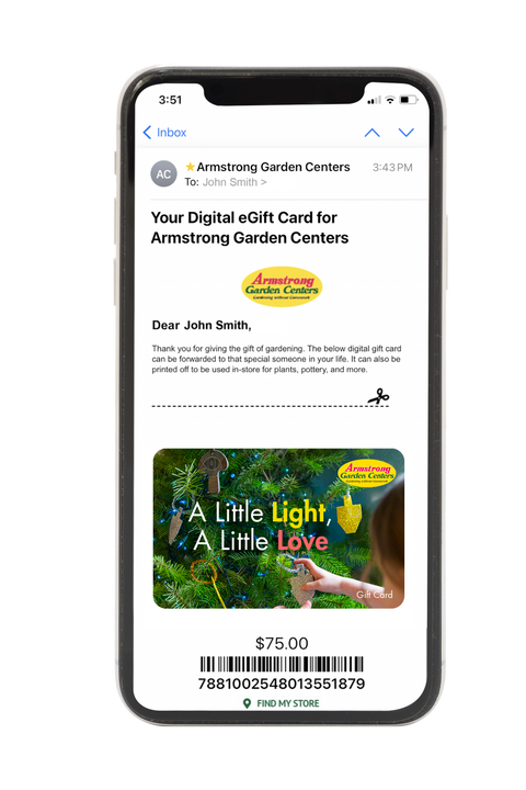 Digital A Little Light, A Little Love eGift Card